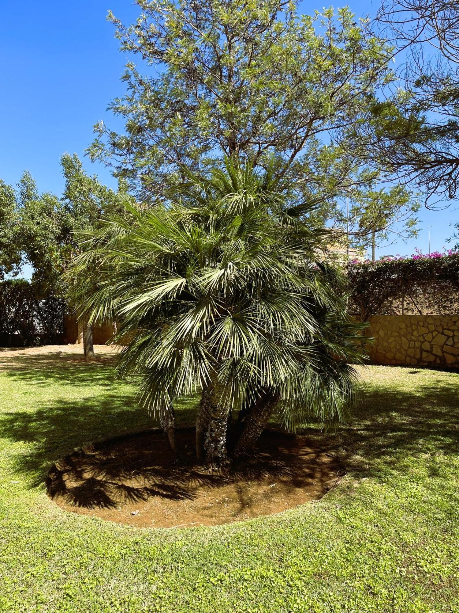 Apartmán El Casa Kama Denia Exteriér fotografie